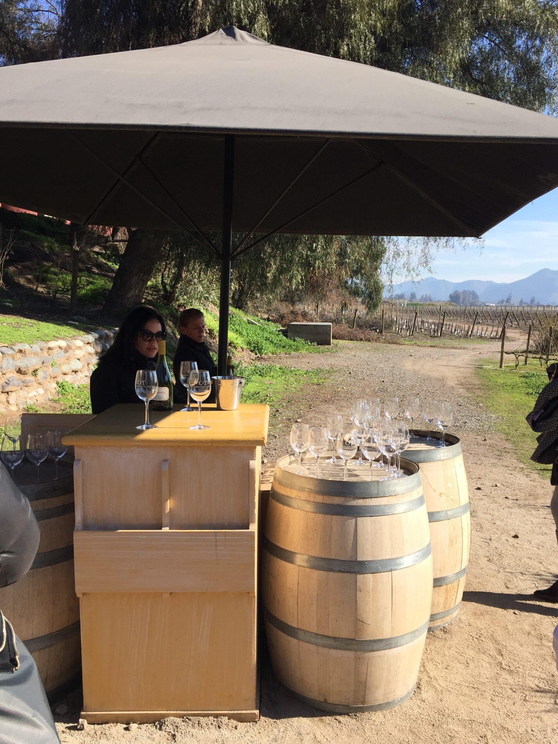 CONCHA Y TORO - VISITA AL CENTRO DEL VINO - Imagen 2