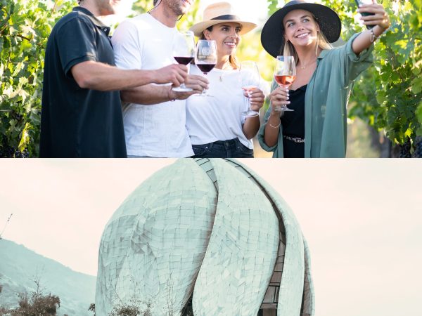 VIÑA COUSIÑO MACUL Y TEMPLO BAHAI