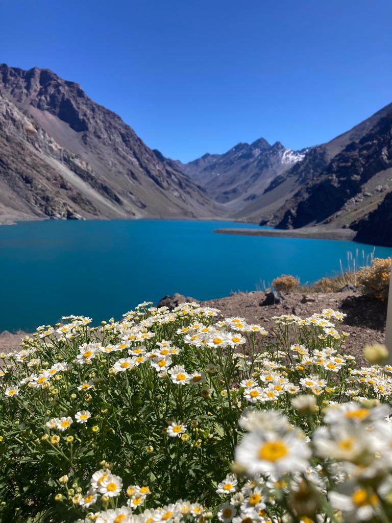 PORTILLO Y LAGUNA DEL INCA - Imagen 4