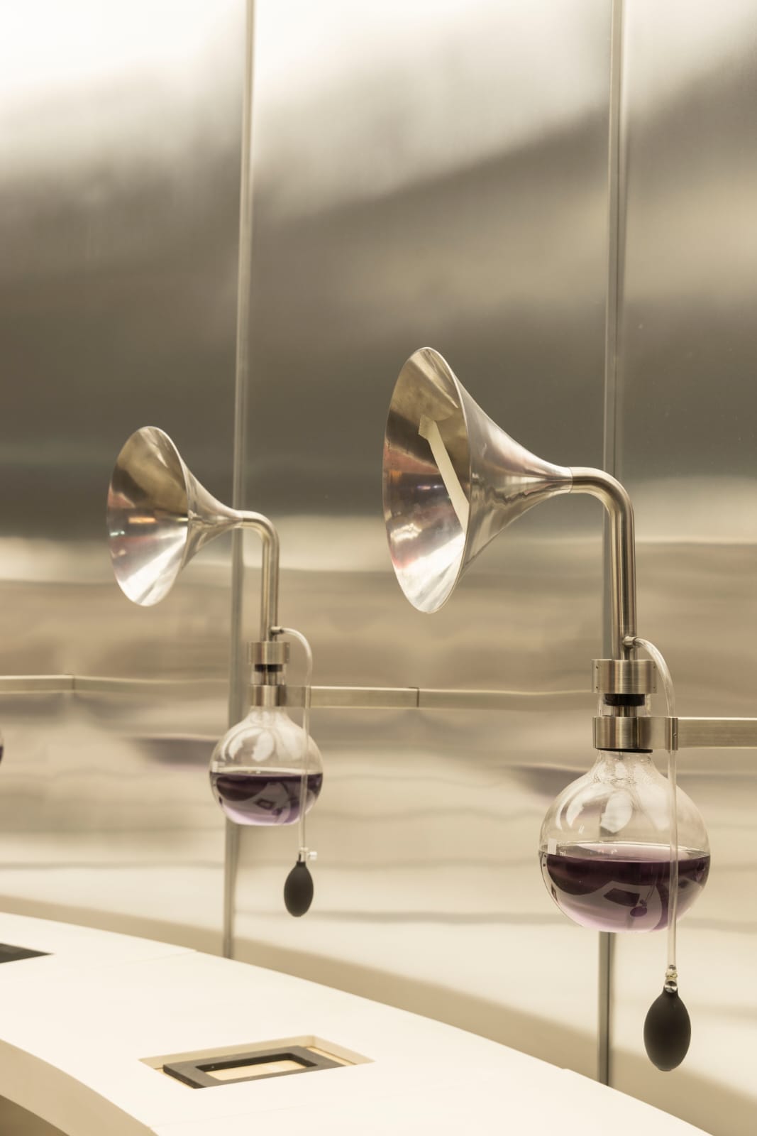 CONCHA Y TORO - VISITA AL CENTRO DEL VINO - Imagen 6