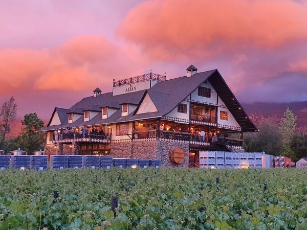 TRANSPORTE VINICOLA ALYAN SUNSET